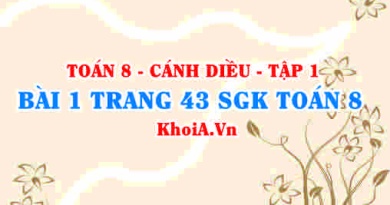 Bài 1 trang 42 SGK Toán 8 tập 1 Cánh Diều